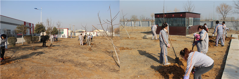 員工們植樹干勁十足2